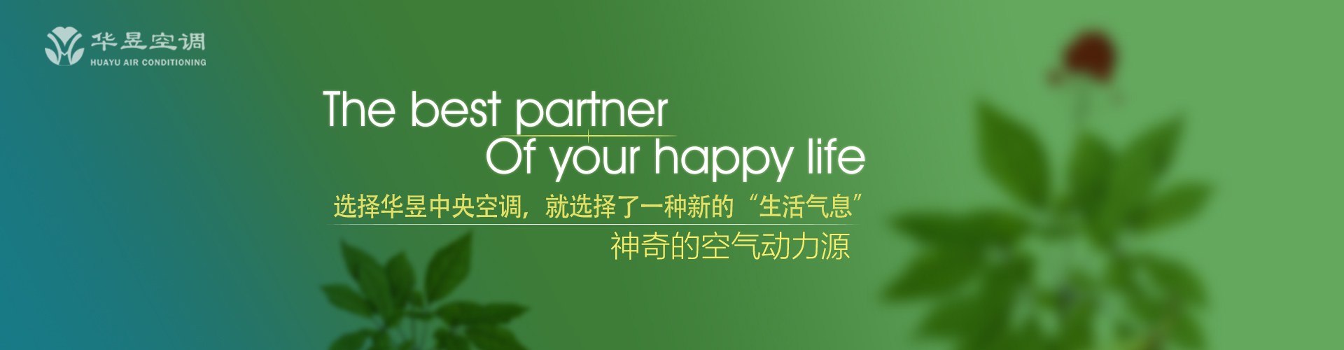 莺飞燕舞网